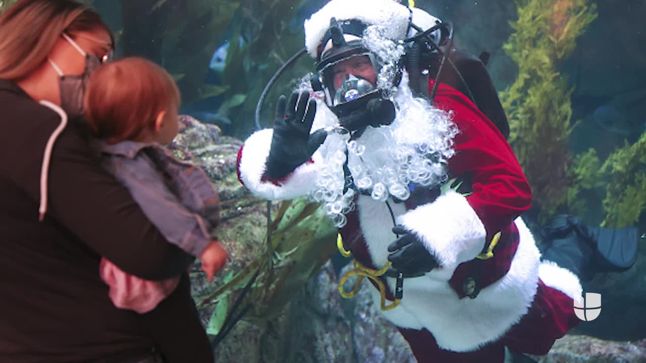 ¿Quieres tener fotos únicas de 
<a href="https://www.univision.com/local/los-angeles-kmex/winter-wonderland-parques-nieve-los-angeles-navidad-fotos">Navidad</a>? Entonces, tienes que visitar el 
<a href="https://www.univision.com/local/los-angeles-kmex/el-acuario-del-pacifico-en-long-beach-un-espacio-lleno-de-diversion-y-conocimiento-para-disfrutar-en-familia-video">Acuario del Pacífico</a> en donde San Claus se mudó para celebrar la Navidad de 2021.