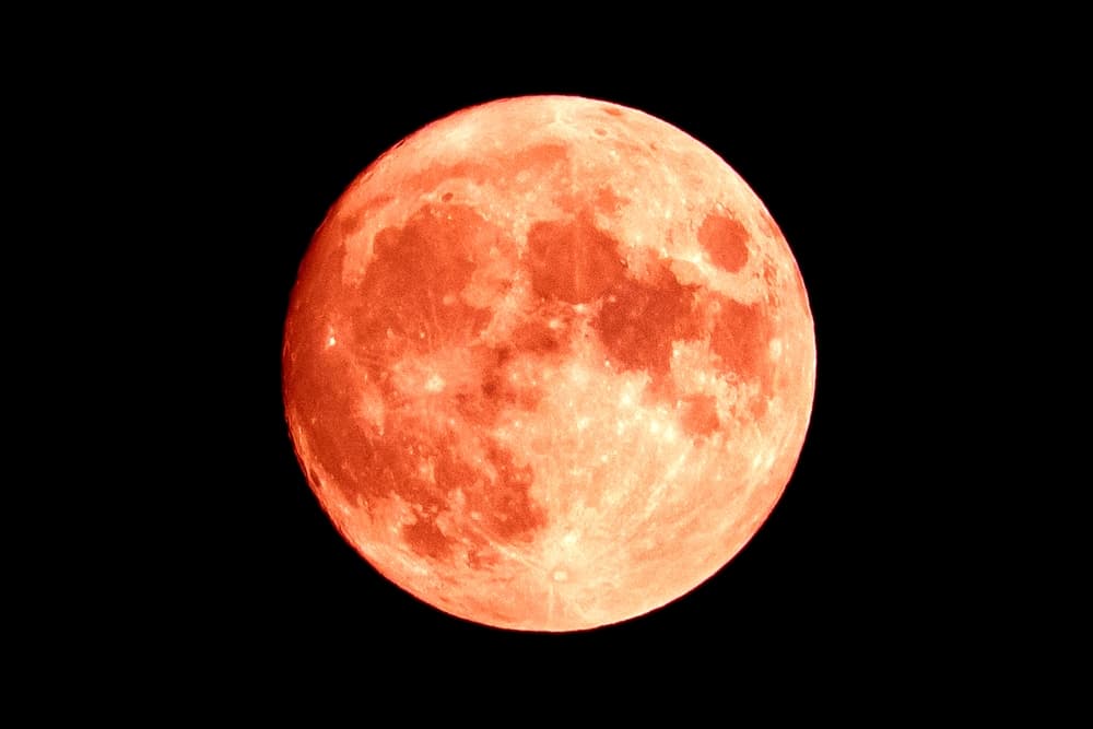 <h3 class="cms-H3-H3">12 de Agosto, la última Superluna del año</h3>
<br>La Luna de Esturión, como se le conoce a está Superluna, estará más cerca de la Tierra de lo que normalmente está. Por lo que se espera que el cielo nocturno, ese día, sea mucho más brillante y grande que en otras ocasiones.
<br>
<br>