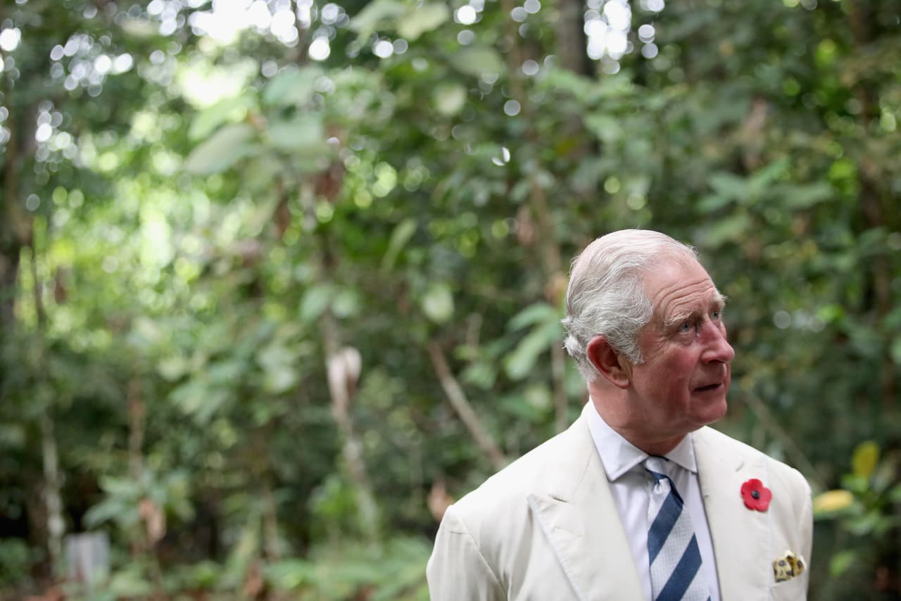 "Recuerdo que cuando era niño en Sandringham, 
<b>había el jardín más maravilloso</b> que la reina Alexandra, mi tatarabuela, había creado en el antiguo edificio", contó el príncipe. 
<br>