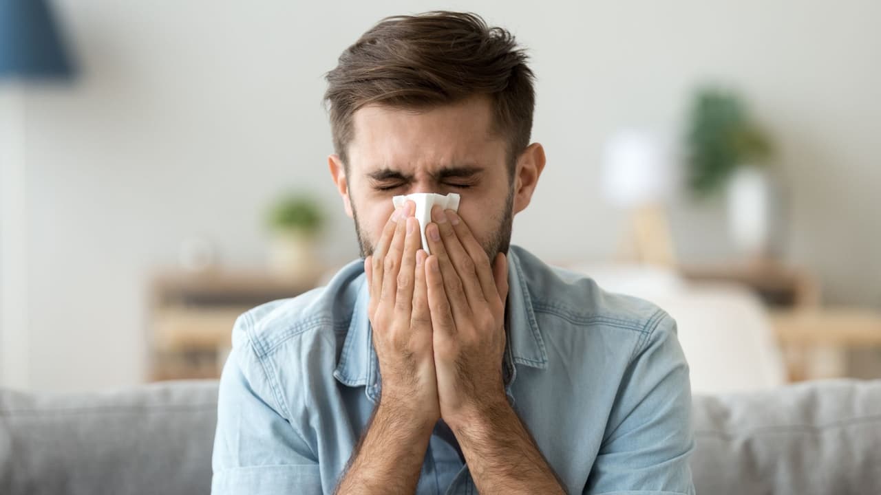 <h3 class="cms-H3-H3">Cómo saber si es alergia y no un resfriado</h3>
<br>
<b><a href="https://www.cdc.gov/climate-health/php/effects/pollen-health.html" target="_blank">Los Centros para el Control y la Prevención de Enfermedades (CDC)</a></b> lo resumen de forma directa: las alergias al polen 
<b>causan estornudos, congestión, picazón y ojos llorosos.</b> 
<br>👉🏻 
<b>No hay fiebre</b> y duran semanas.