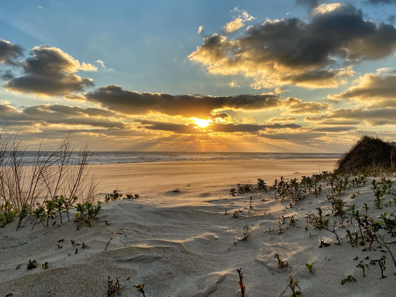 <b>The Outer Banks -</b> Si bien the
<b><a href="https://www.outerbanks.org/">Outer Banks</a></b> es un destino de verano, las vacaciones de primavera aquí son igual de agradables. Por supuesto, siempre puedes conducir por la NC-12, parte de una carretera panorámica favorita a lo largo de la costa. Además de los icónicos faros, el encantador Refugio Nacional de Vida Silvestre Pea Island y otras atracciones, es genial estar en ese camino abierto.