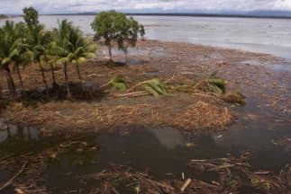 La isla de Nueva Guinea se asienta sobre el 'Anillo de Fuego del Pacífico', una zona de gran actividad sísimica.
