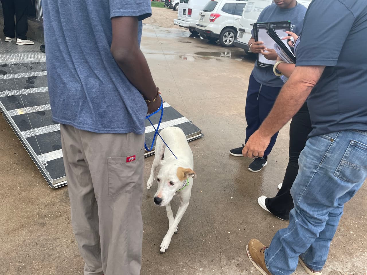 Tras las graves inundaciones que afectaron el centro de Texas y la región de Hill Country, el 
<b>Houston Humane Society</b> intervino para ayudar, 
<b>reubicando a 26 perros y cachorros provenientes de refugios evacuados y saturados.</b>
