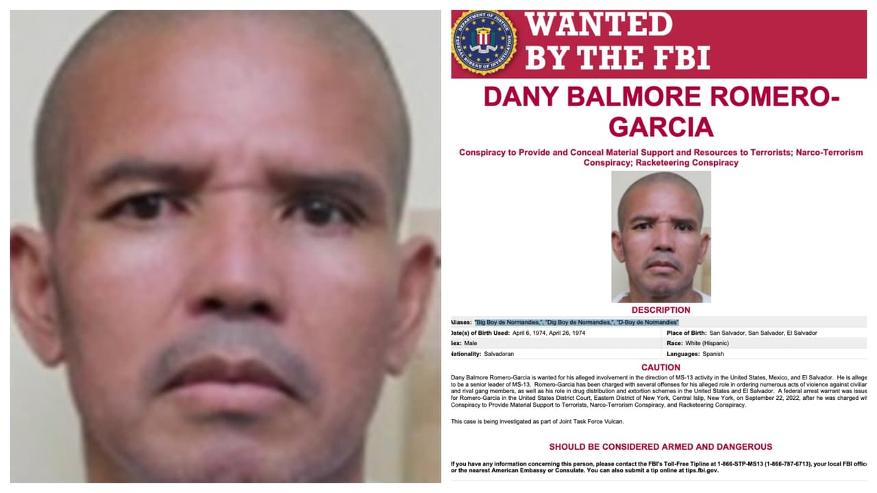 <b>Dany Balmore García Romero</b>
<br>Salvadoreño, de 48 años. Las autoridades no tienen con certeza si su fecha de nacimiento fue el 6 de abril o el 26 de abril de 1975. Se le conoce como 'Big Boy de Normandies'. Entre otras cosas, es sospechoso de ser un 
<b>director senior de la MS-13, </b>y promover esquemas de extorsión y distribución de drogas en varios países.