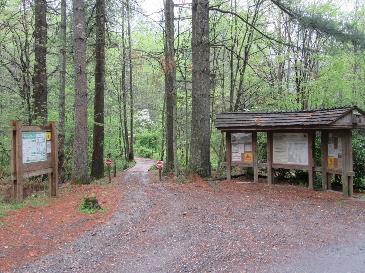 <b>Tsali Trails</b>. Los senderos Tsali en el bosque nacional de Nantahala son una serie de senderos para bicicletas de montaña que ofrecen una gran cantidad de acción para los entusiastas del todoterreno. Comprenden más de 40 millas de senderos montañosos divididos en varios bucles, cada uno con diferentes grados de dificultad. El bucle derecho, marcado como más difícil, ofrece una gran cantidad de paseos por el interior montañoso con algunos cruces de arroyos y acceso al mirador de Windy Gap. El Thompson Loop moderado ofrece menos obstáculos, aunque el recorrido sigue siendo bastante accidentado.