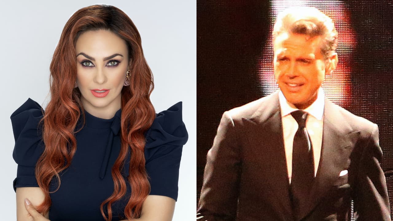 Aracely Arámbula contraataca: abogado ventila desde cuándo Luis Miguel no pagaría manutención