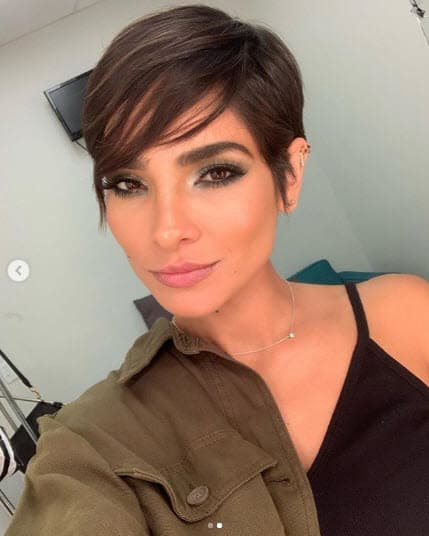 Alejandra Espinoza paso momentos de angustia porque Aquiles, su perro, se perdió el pasado jueves 22 de agosto en el área de Woodland Hills, en Los Ángeles, California.