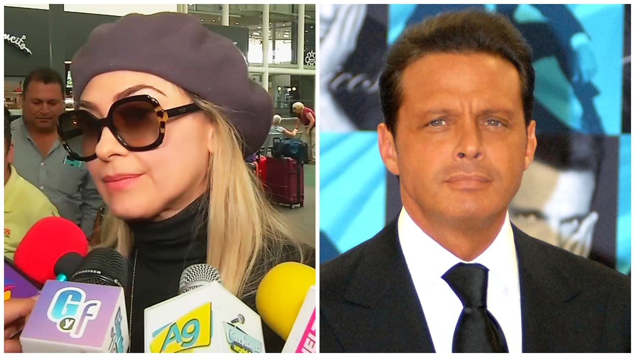 Desde que se separó de Luis Miguel en el año 2009, la actriz 
<b>ha estado a cargo de Miguel y Daniel</b>, los dos hijos fruto de la relación que iniciaron en 2005. Aracely Arámbula dejó entrever que solo ella organizará la fiesta que pretende hacerle a Miguel.