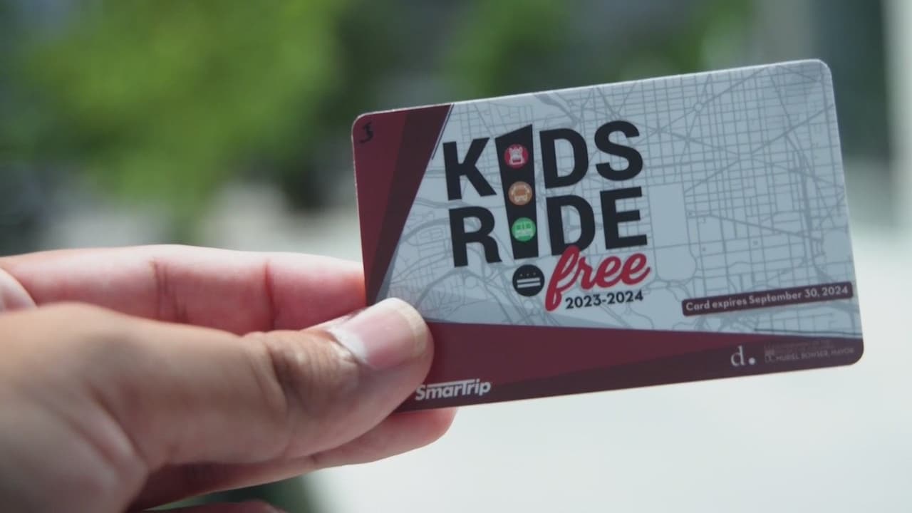 ¿Tus hijos necesitan transporte gratuito para ir a estudiar? este programa te puede ayudar