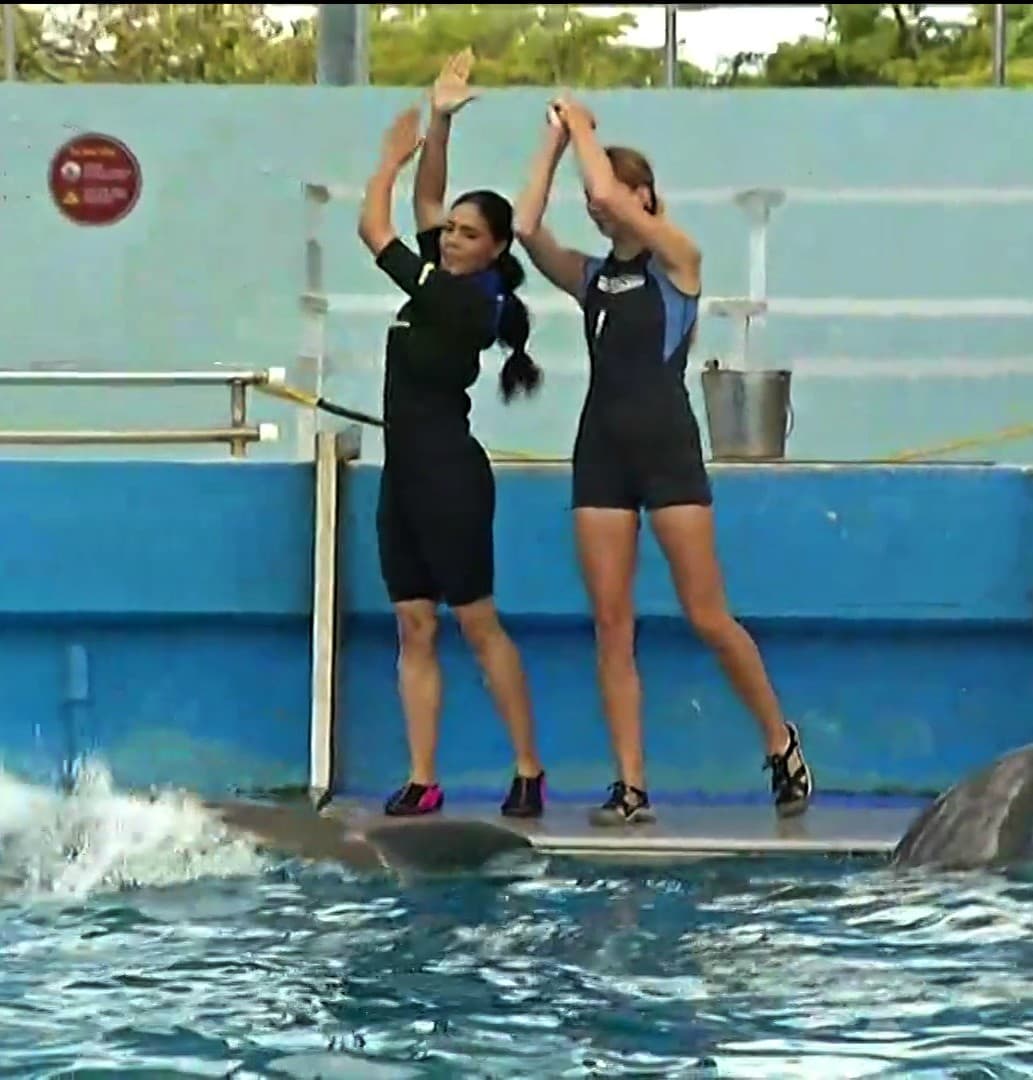 La entrenadora profesional le enseñó algunas técnicas de entrenamiento que le funcionaron de inmediato.