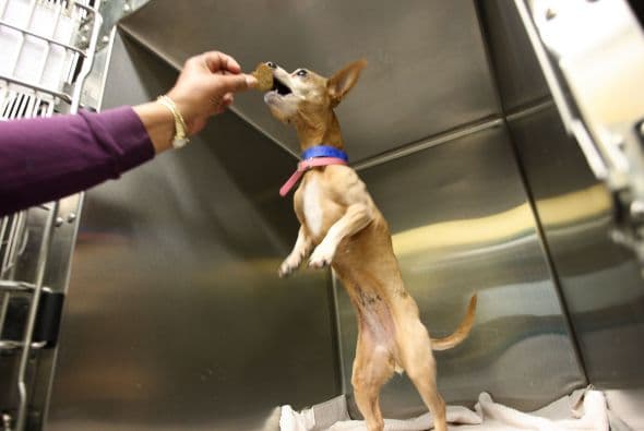 Estas terapias se ofrecen en la Ciudad de México y son gratuitas.