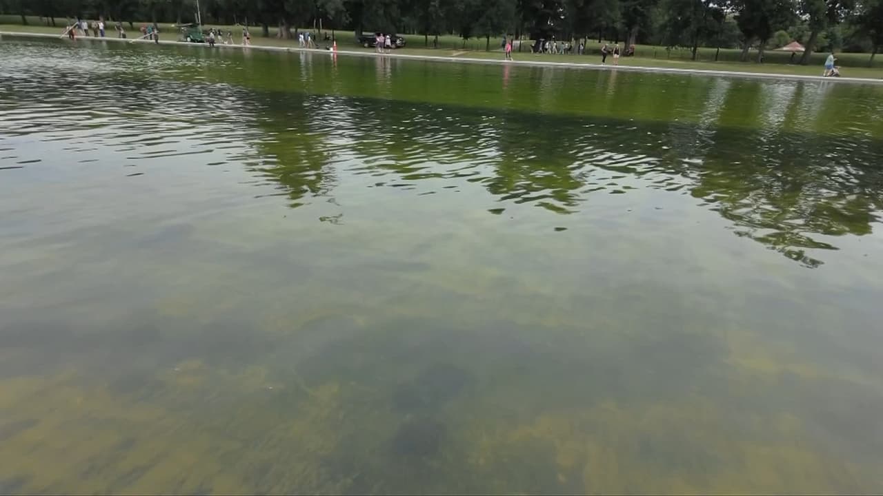 Polémica en Washington D.C. por el estado de la piscina reflectante de 14 millones de dólares
