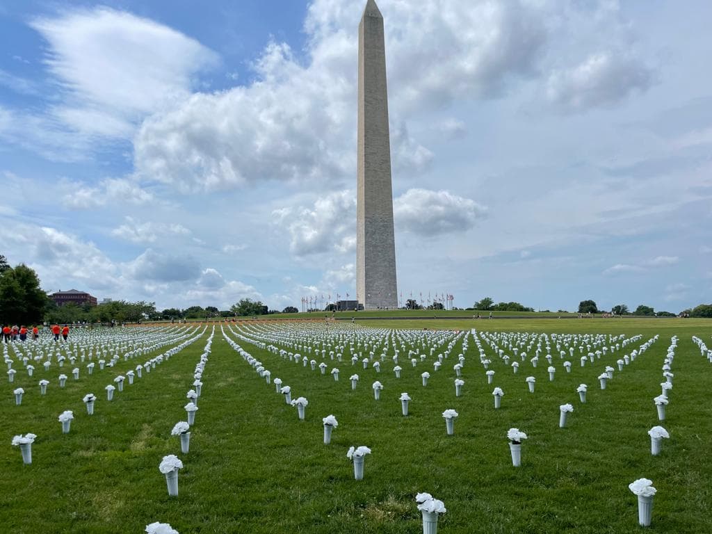 El 24 de marzo de 2018, más de un millón de personas protestó en Washington DC, además de otros 880 actos en otros lugares del país.