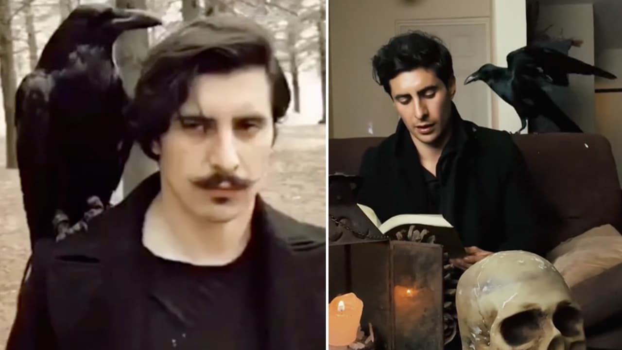 Joven presume a su inusual mascota y causa terror: un cuervo que puede hablar 