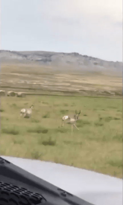 En un momento del clip, se escucha decir a Kim "creo que los estás asustando".