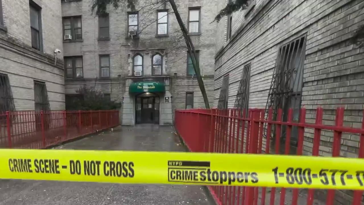 Gemelos de 5 años fueron hallados muertos echando espuma por la boca: NYPD