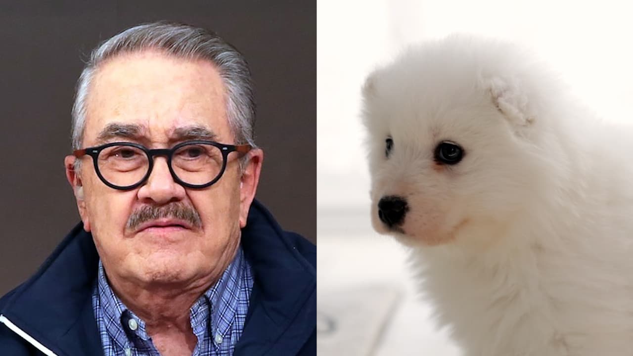 Pedro Sola habría sido denunciado ante autoridades tras hablar de “envenenar” perros