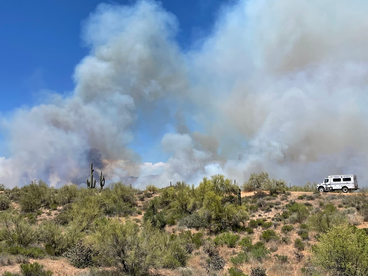 Incendio forestal Wildcat Fire consume más de 14 mil hectáreas en el Bosque Nacional Tonto.