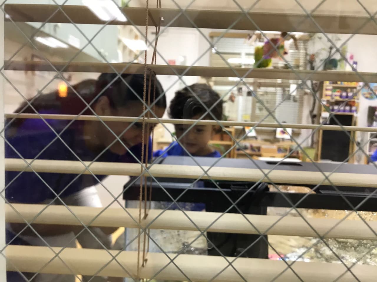 Aquí un vistazo de lo que estaban espiando Orlando y Catalina desde la ventana del salón de clases.