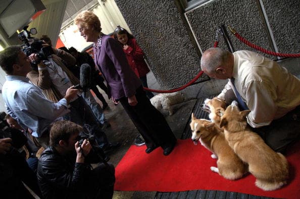 La reina Isabel II le tenía tanto cariño a Willow, que la mascota (en la foto con Holly) aparece inmortalizada en el retrato oficial que se tomó al cumplir los 90 años.