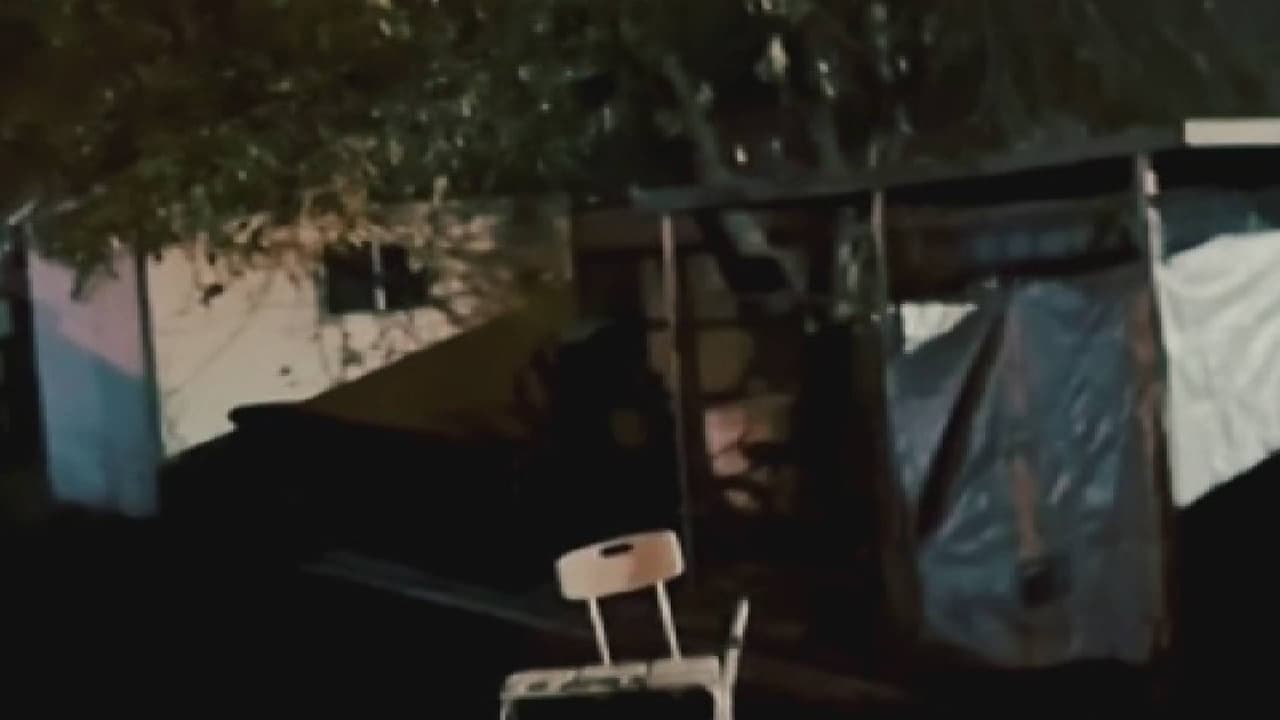 Hallan a joven con necesidades especiales encerrada en una jaula para perros: una mujer fue detenida