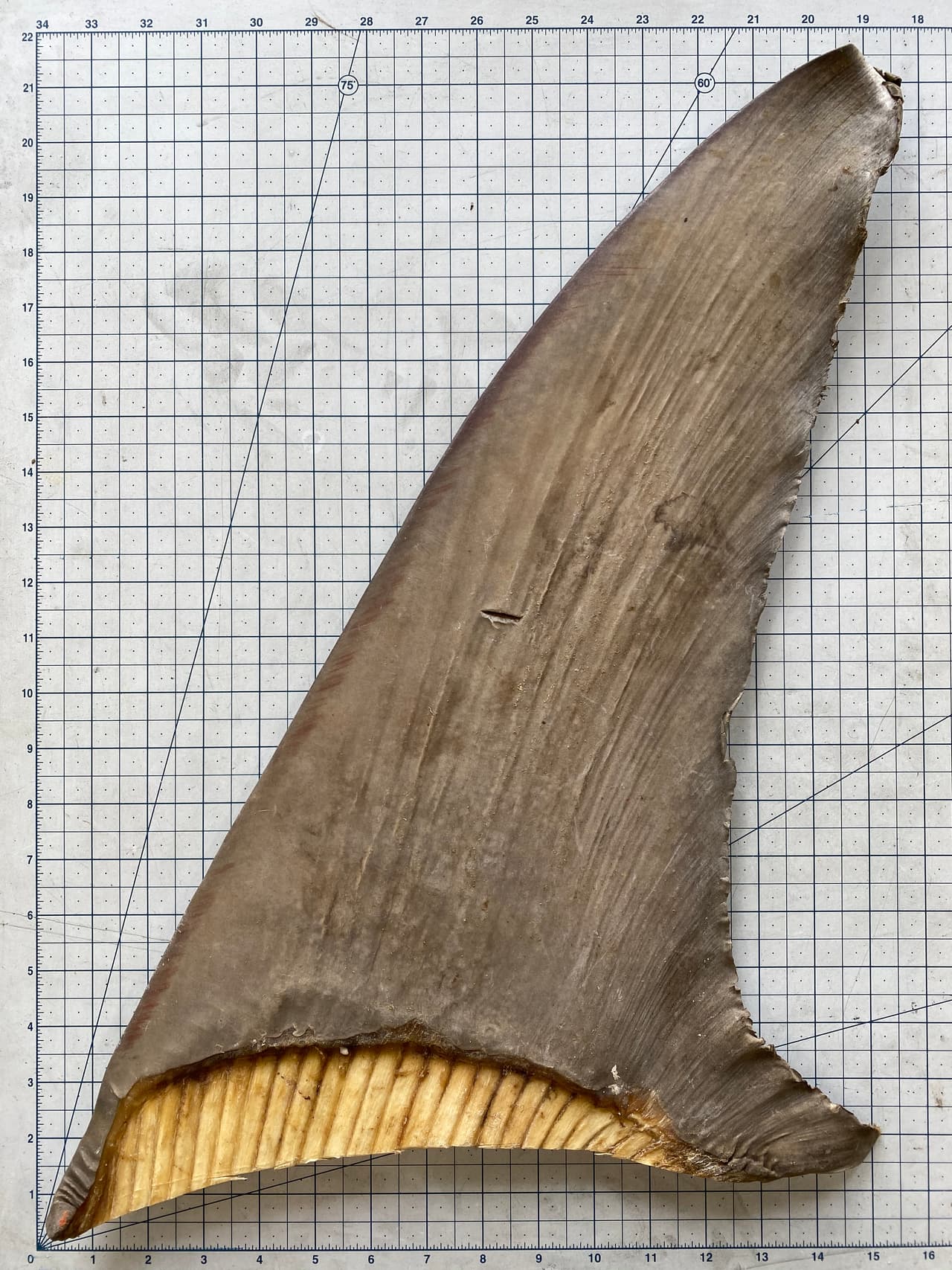 Hasta el momento no se han reportado arrestos, pero las autoridades continúan investigando. 
<br>