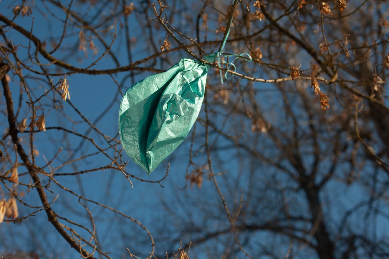 Niño de 8 años muere tras inhalar helio de un globo de su fiesta de cumpleaños: ¿Cómo pudo pasar? 