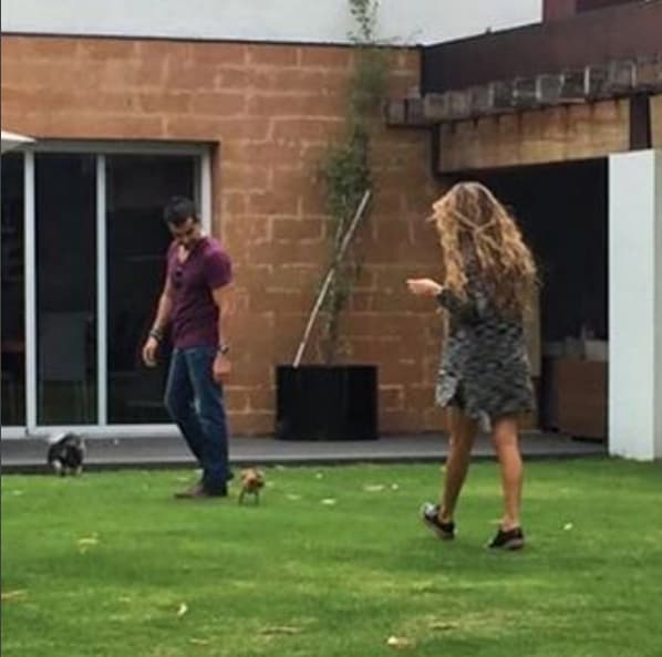 En algunos de sus encuentros llevan a sus mascotas para que convivan.