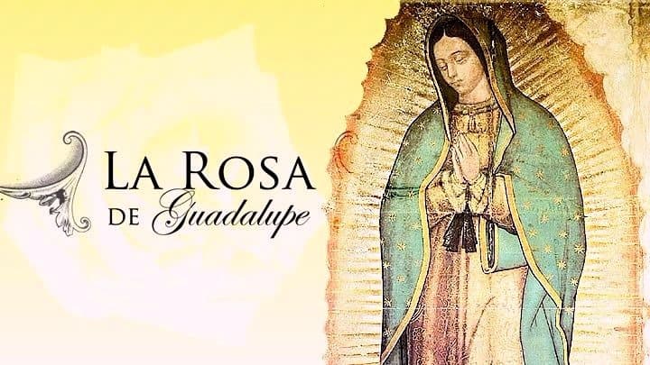 El productor de ‘La rosa de Guadalupe’ revela el éxito de la serie