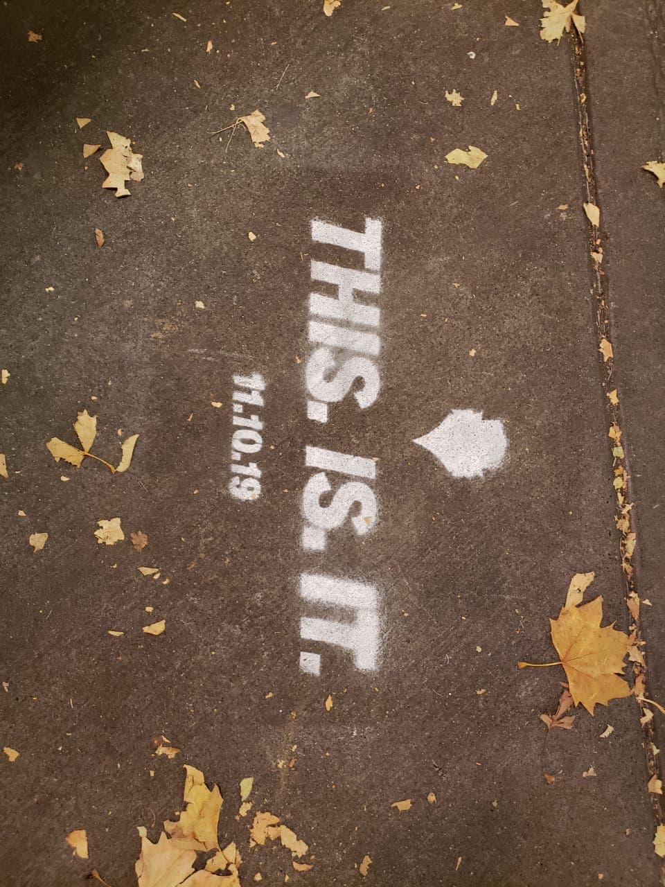 Así se prepara la ciudad de Seattle para recibir la final de la MLS.