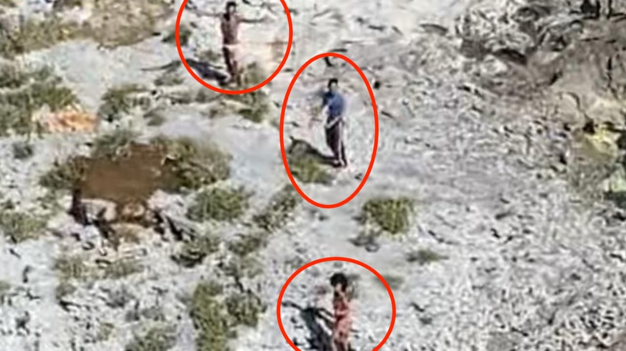 Rescatan a tres cubanos que vivieron 33 días solo con cocos cerca de los Cayos