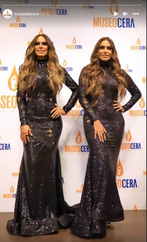 Galilea comentó a la prensa que con esta creación quedó inmortalizada y que gracias a esta obra futuras generaciones podrán seguir conociéndola.