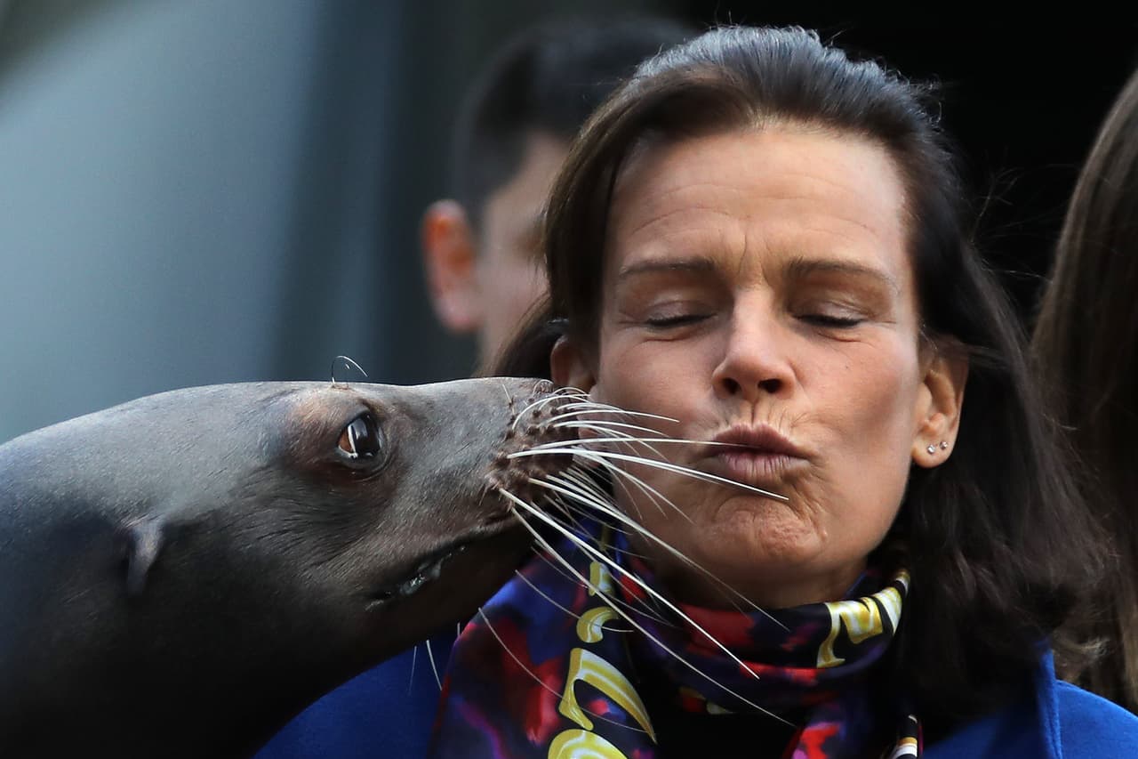 Con un besito de león marino amaneció este martes la princesa Estefanía de Mónaco, hija menor del fenecido príncipe Raniero, fundador del Festival Internacional de Circo de Monte-Carlo.