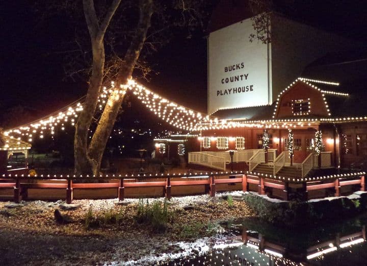 <b><a href="https://maps.app.goo.gl/tkbFLcUMubYe4Kgj6 " target="_blank">Número 5: New Hope</a></b>. Este encantador lugar de la costa este es un gran lugar para pasar la Navidad. También es probable que tengas una "blanca Navidad" si lo haces.