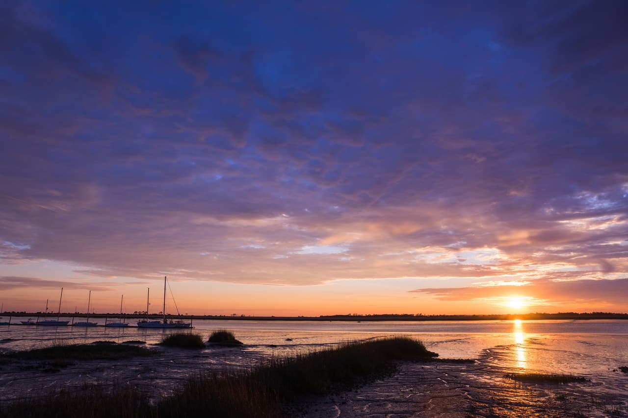 <b>Jekyll Island</b>. Un total de 10 millas de playas únicas envuelven Jekyll. Corsair Beach Park está ubicada cerca de las tiendas de Beach Village, Glory Beach Park está bordeado de dunas de arena y el Great Dunes Beach Park de fácil acceso es perfecto para estacionar y hacer un picnic. Visita el pintoresco Ocean View Park por sus senderos para pasear a lo largo de la costa y South Dunes Beach Park con su paseo marítimo que conduce a la arena. La isla también se centra en el ecoturismo.