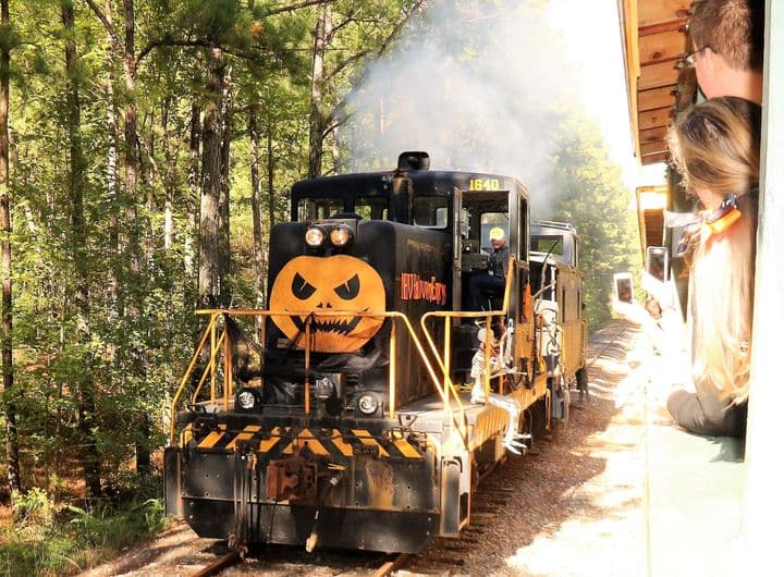 <b>Evento</b>: Track or Treat: Halloween Express
<br>
<b>Fecha</b>: 28 de octubre
<br>
<b>Lugar</b>: 
<a href="https://maps.app.goo.gl/RQT8oYDf953bLStE8">North Carolina Railway Museum & New Hope Valley Railway. 3900 Bonsal Rd. New Hill, NC 27562.</a>
<br>
<b>Sitio web</b>: 
<a href="https://www.triangletrain.com/">https://www.triangletrain.com/</a> 
<br>
<br>Se trata de viaje en tren apto para niños con escenas de brujas voladoras, calderos humeantes, grandes caras de calabazas, el Conde Drácula y otras criaturas a lo largo de la ruta. Los pasajeros también pueden jugar Mummy Mayhem, un juego en el que se buscan 13 momias escondidas a lo largo de las vías del tren.