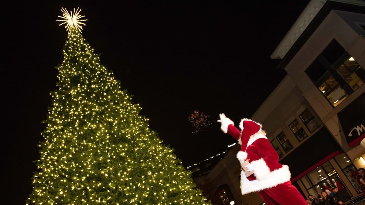 <b>Evento</b>: North Hills Tree Lighting
<br>
<b>Fecha</b>: 18 de noviembre
<br>
<b>Lugar</b>: 4321 Lassiter at North Hills. Raleigh, NC.
<br>
<b>Sitio web</b>: 
<a href="https://www.visitnorthhills.com/events/tree-lighting-celebration/">https://www.visitnorthhills.com/events/tree-lighting-celebration/</a> 
<br>
<br>El evento incluye la iluminación del árbol navideño, música en vivo, comida, actividades familiares, pintura de cara, la visita de Santa Claus y más.