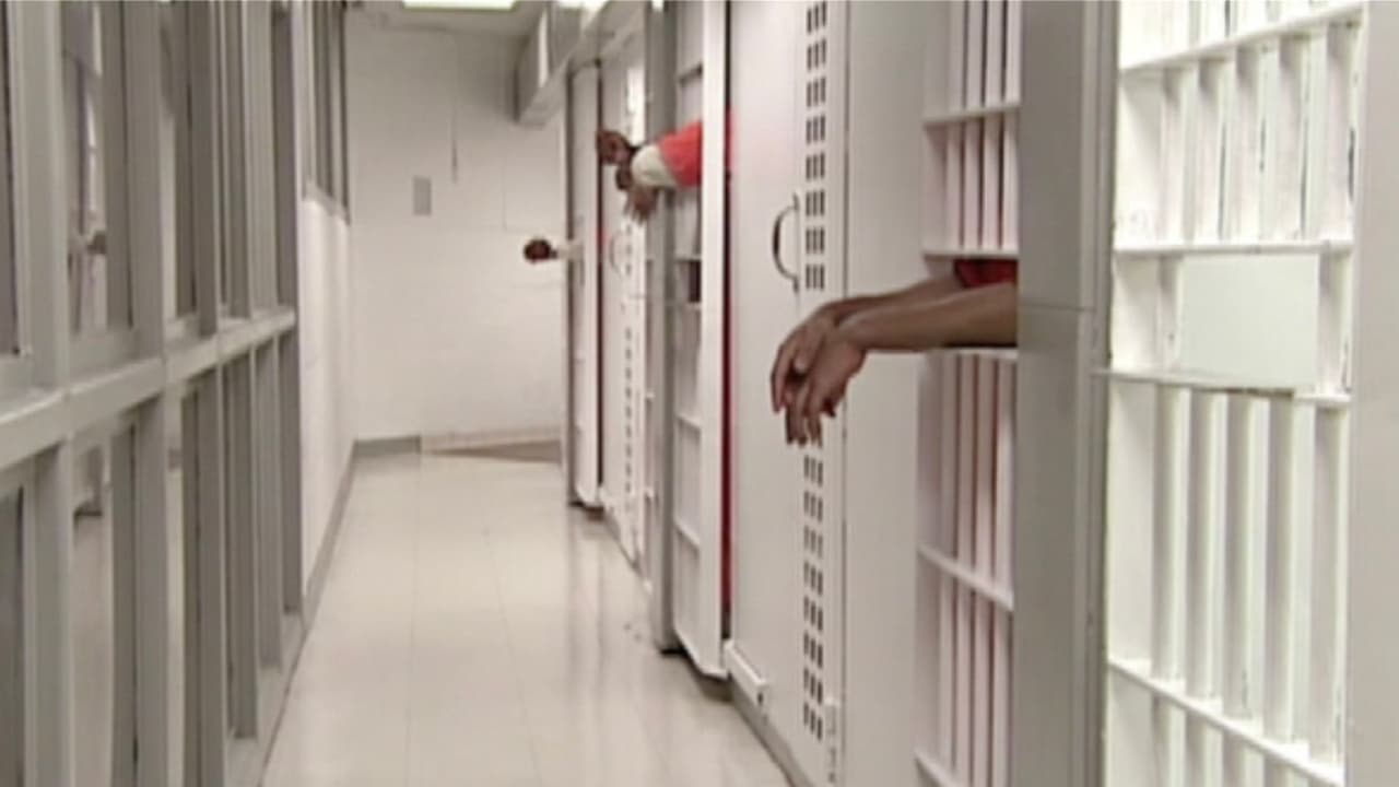 Las compañías que se dedican a prestar dinero para pagar la 
<a href="https://www.univision.com/local/houston-kxln/las-fianzas-son-la-raiz-del-problema-de-la-delincuencia-en-houston-esto-dice-un-comisionado-video" target="_blank">fianza</a> de personas encarceladas en Texas usualmente se localizan en los alrededores de las cárceles de los condados.