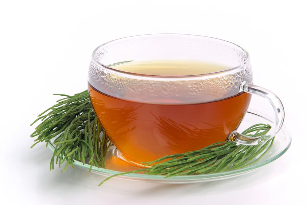 En el mundo esotérico también tiene usos bastante particulares, y es que desde hace generaciones se dice que beber infusiones o té hecho con la cola de caballo ayuda a la fertilidad de las mujeres.