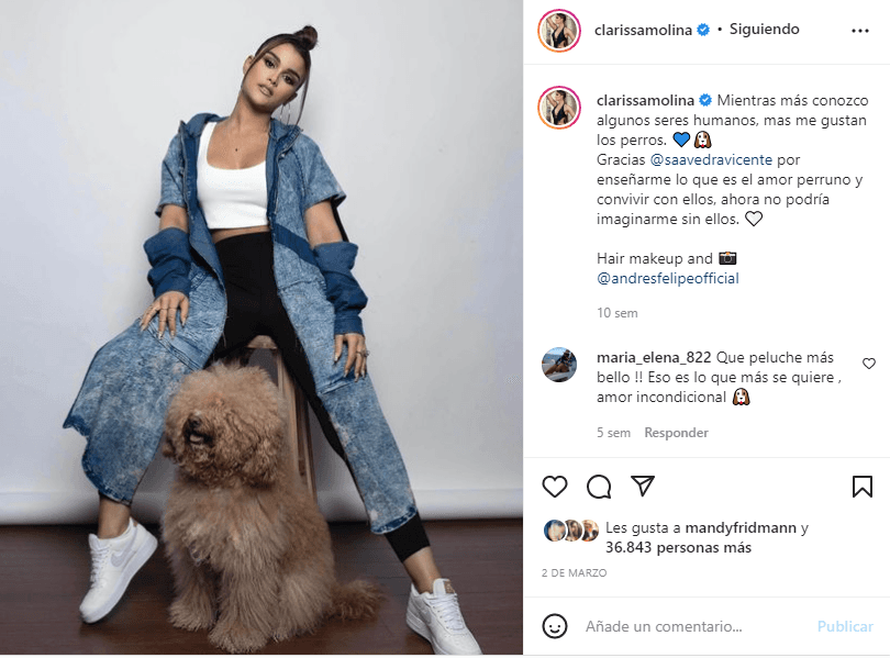 Con este post del pasado 2 de marzo, Clarissa agradeció a Vicente "por enseñarme lo que es el amor perruno y convivir con ellos, ahora no podría imaginarme sin ellos".