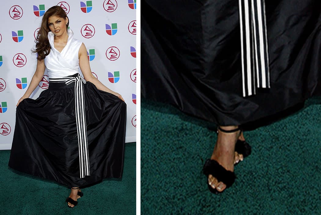 Ana Bárbara tampoco se olvidó de usar negro en 2005. La cantante buscó este modelo que además incluye algunas aplicaciones.