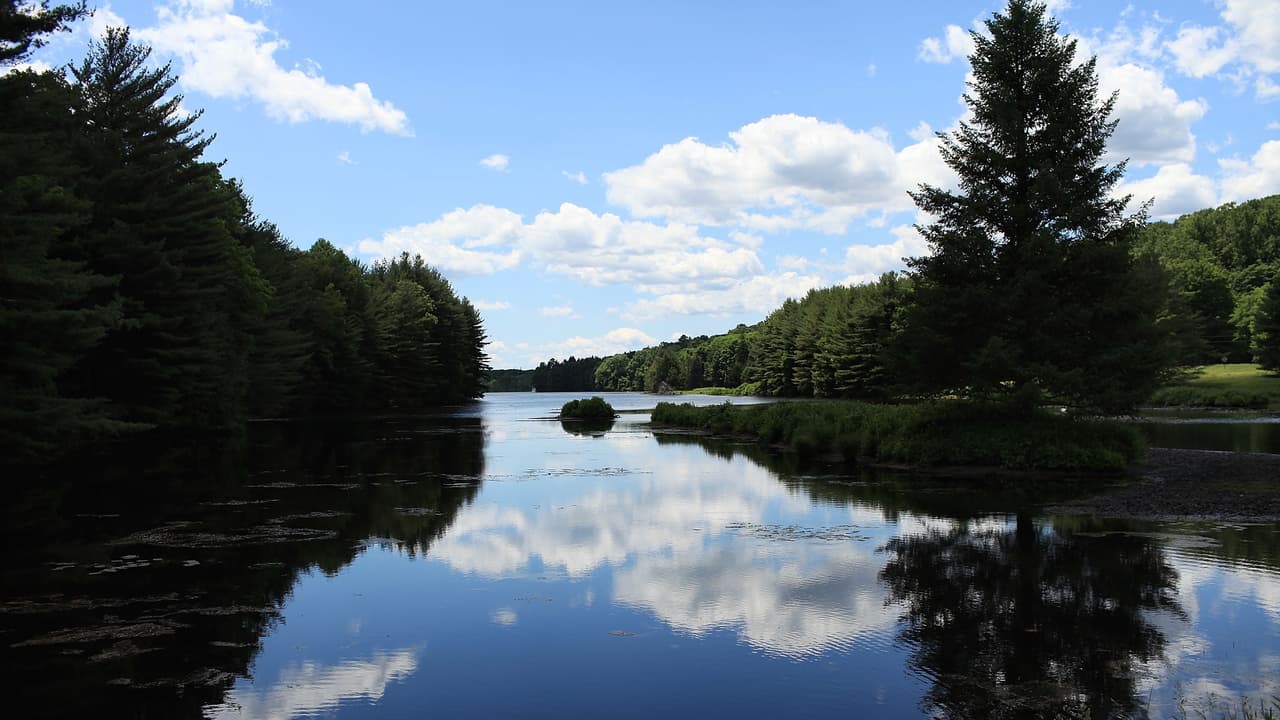 <b>5. Connecticut</b>
<br>Expectativa de vida general (en años): 80.4
<br>Hombres: 77.9
<br>Mujeres: 82.9