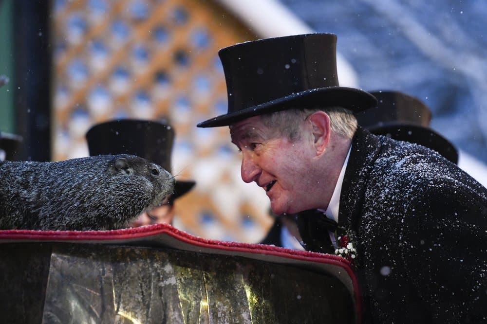 Miembros de la comitiva de Phil despertaron al peludo roedor este martes a las 7:25 de la mañana en Gobbler's Knob, en Punxsutawney, Pennsylvania, para averiguar si el animal podía ver su sombra o no. La leyenda cuenta que si Phil ve su sombra, tal como sucedió este año, habrá seis semanas más de 
<a href="https://www.univision.com/temas/invierno">invierno</a>.