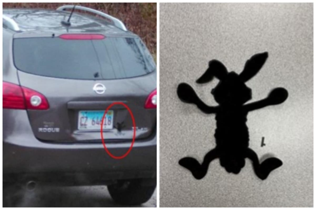 Brissa Romero manejaba una camioneta Nissan gris con una calcomanía de un coyote.