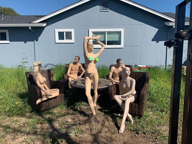 Así luce el jardín de la familia Windus, en Santa Rosa, California.