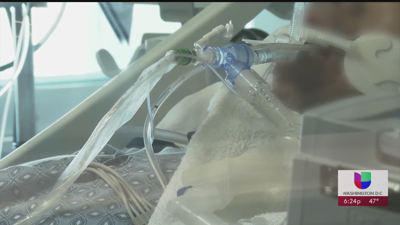 JN.1: Propagación de la nueva variante de covid-19 podría aumentar durante la temporada de fin de año