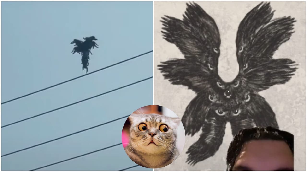 ¿Proyecto Blue Beam o un ángel? Captan extraño objeto en el cielo: video causa furor en TikTok