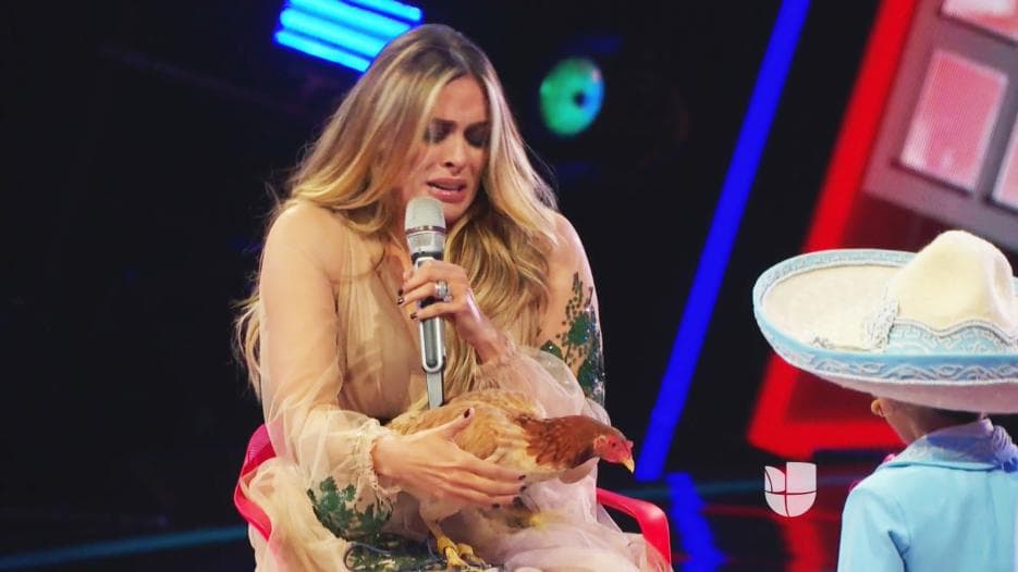 Uno de ellos fue Yumalay Díaz de 4 años, quien hasta le presentó a su mascota, la gallina Pituka y con eso se ganó el apreció de Galilea.