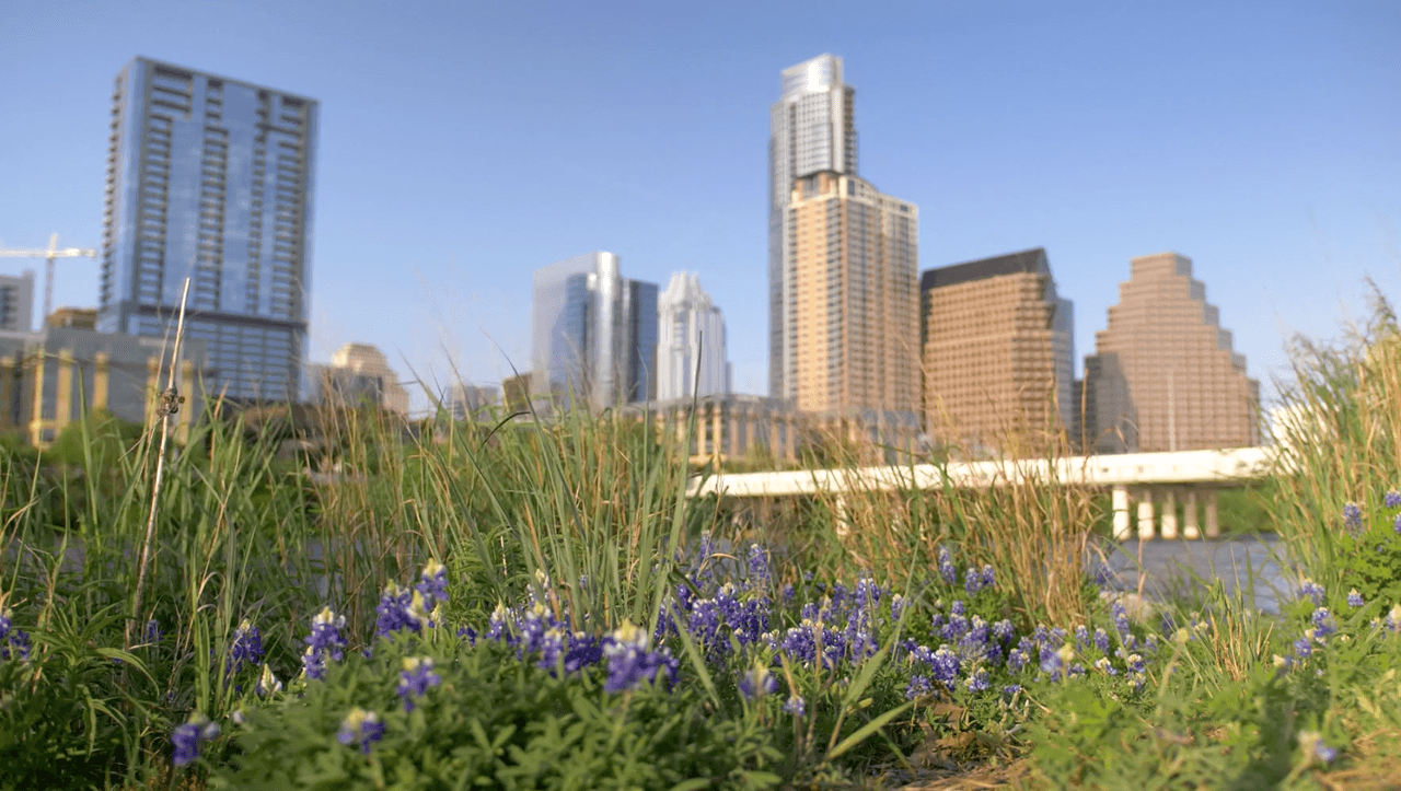 Zillow nombró a Austin en 2021 como el mercado inmobiliario más popular del país, pero la compañía anunció que se espera que Austin caiga al número 10 este año.