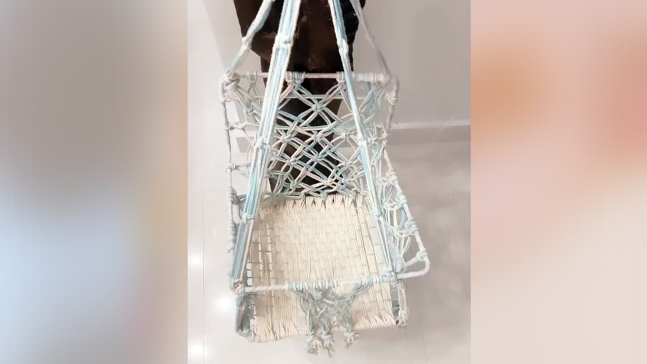 También recibieron este columpio para que sea utilizado por la bebé cuando esté un poco más grande.
<i><b><a href="https://www.univision.com/shows/primer-impacto/te-lo-perdiste-asi-fue-el-baby-shower-virtual-de-michelle-galvan-con-el-equipo-de-primer-impacto-fotos">Mira aquí el 'baby shower' que tuvo Michelle.</a></b></i>